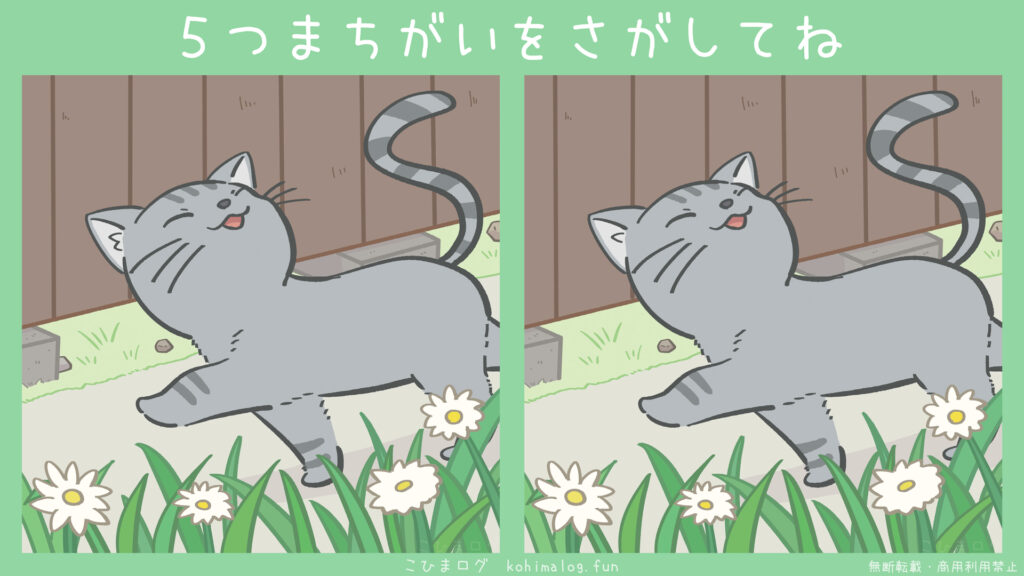 お散歩中の猫ちゃんの間違い探し- こひまログ