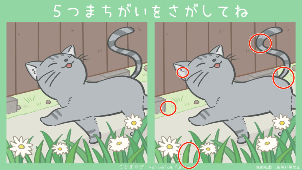 お散歩中の猫ちゃんの間違い探しの答え こひまログ