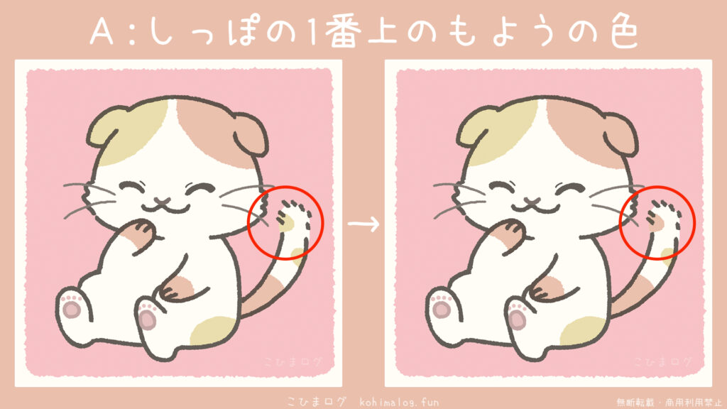 笑顔の三毛猫のアハ体験の答え