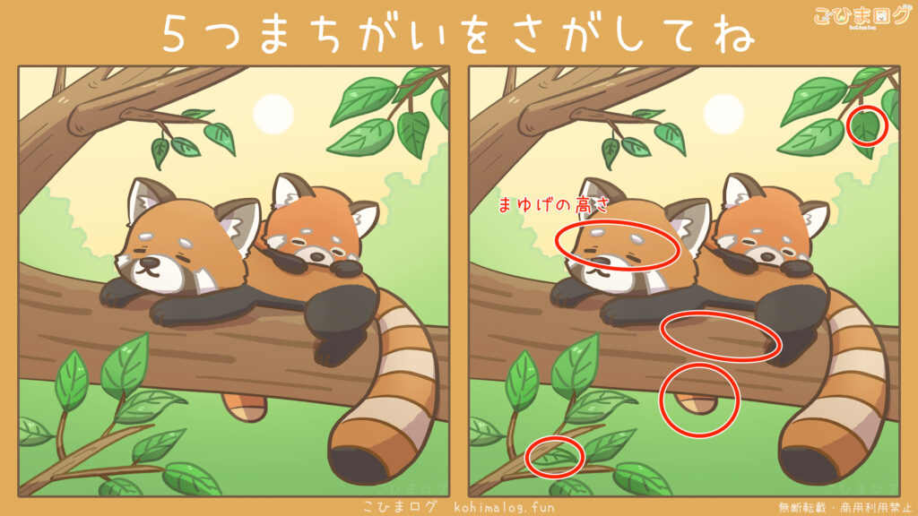 ひなたぼっこしているレッサーパンダ親子の間違い探しの答え-こひまログ