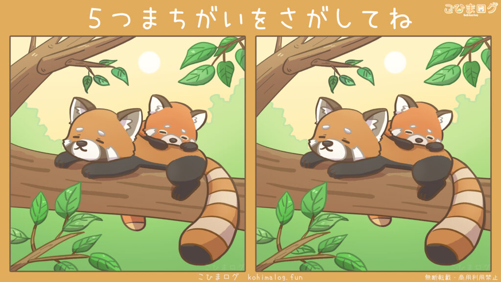 ひなたぼっこしているレッサーパンダ親子の間違い探し-こひまログ