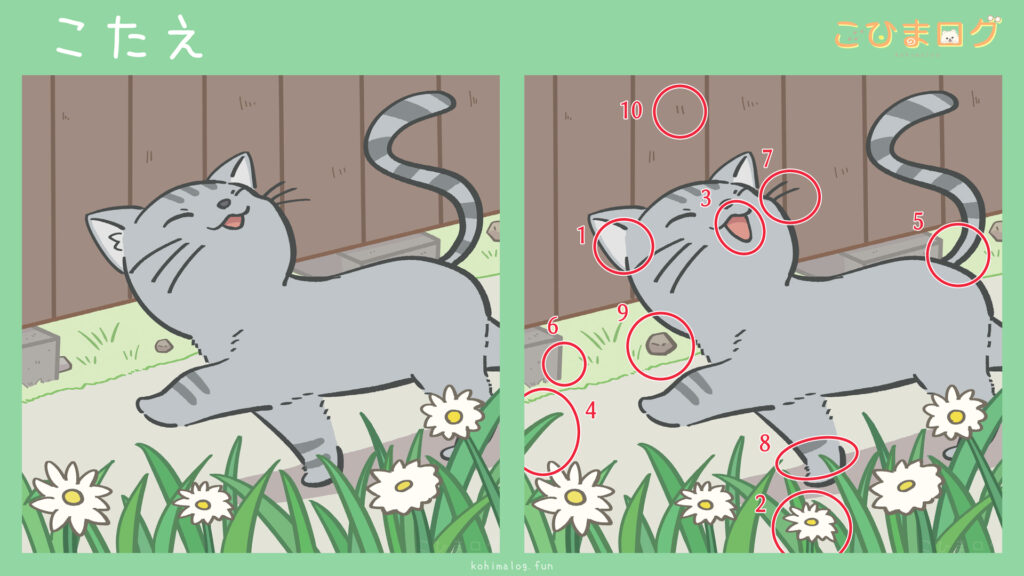 お散歩中の猫ちゃんの間違い探しの答え　こひまログ